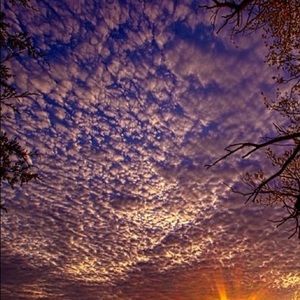 Meet your Posher, Wanda